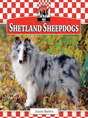 cover image of Shetland Sheepdogs